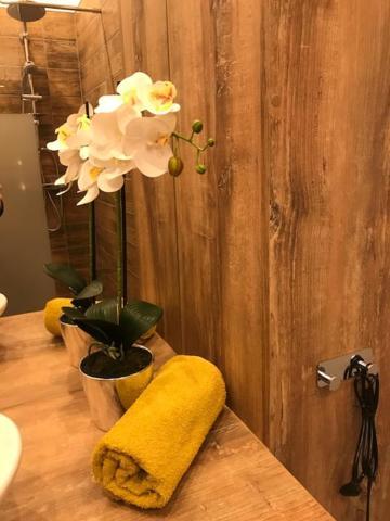 Apartament Gosia Nysa Eksteriør billede