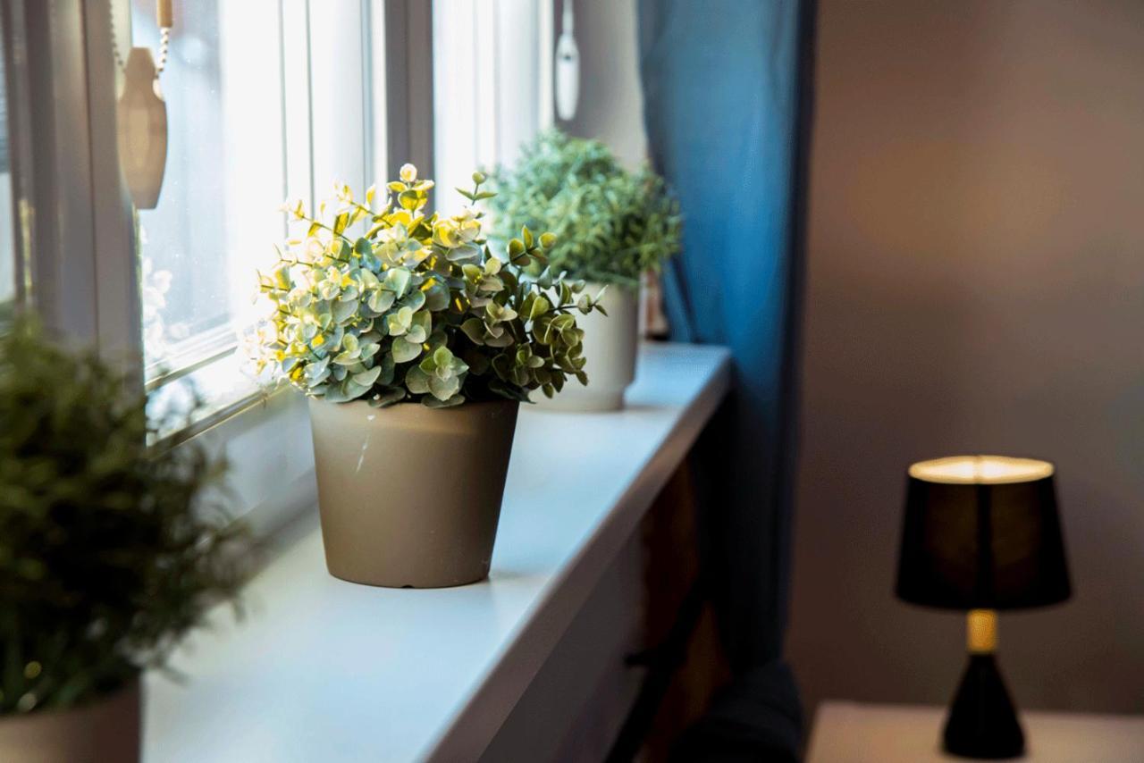 Apartament Gosia Nysa Eksteriør billede